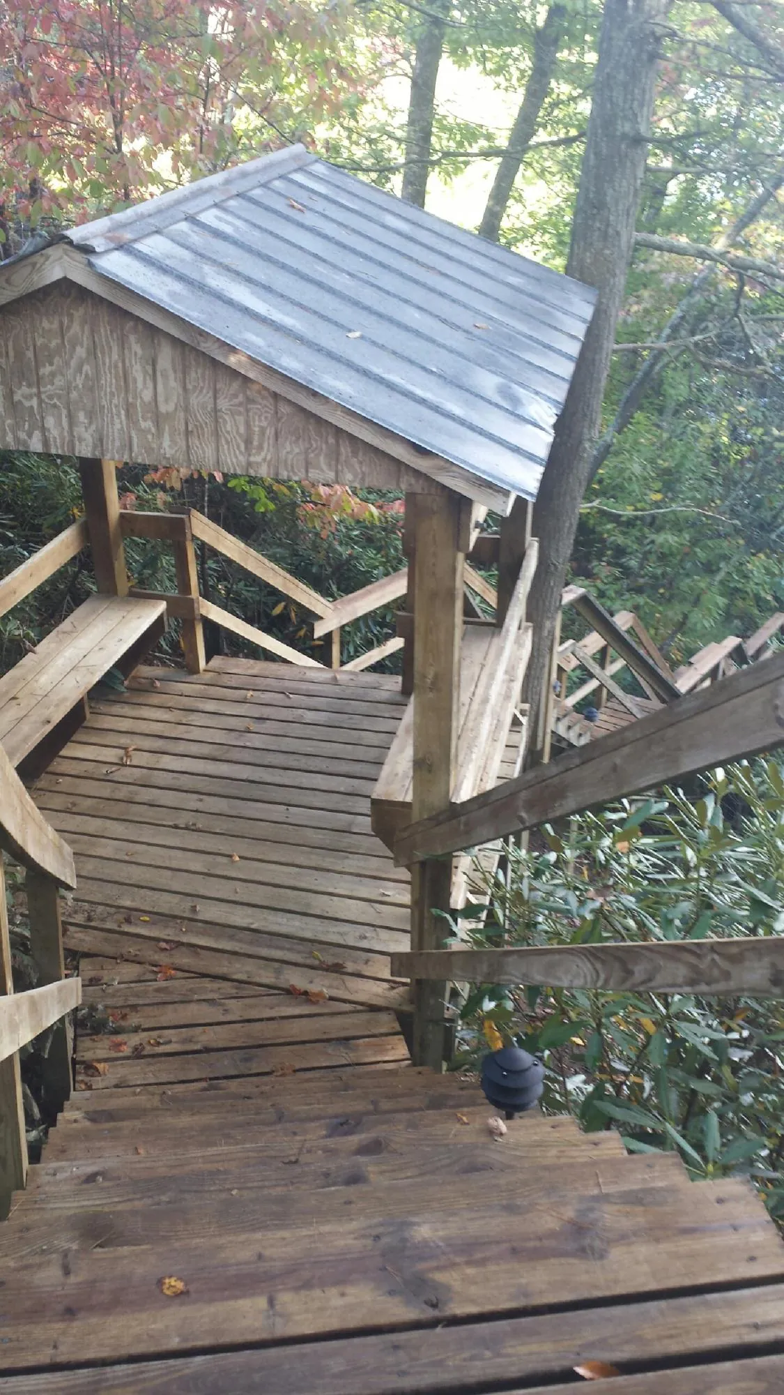Metal roofed shelter over wooden steps on a wooded walkway — Skylight Repair & Installation work by our crew in Vina