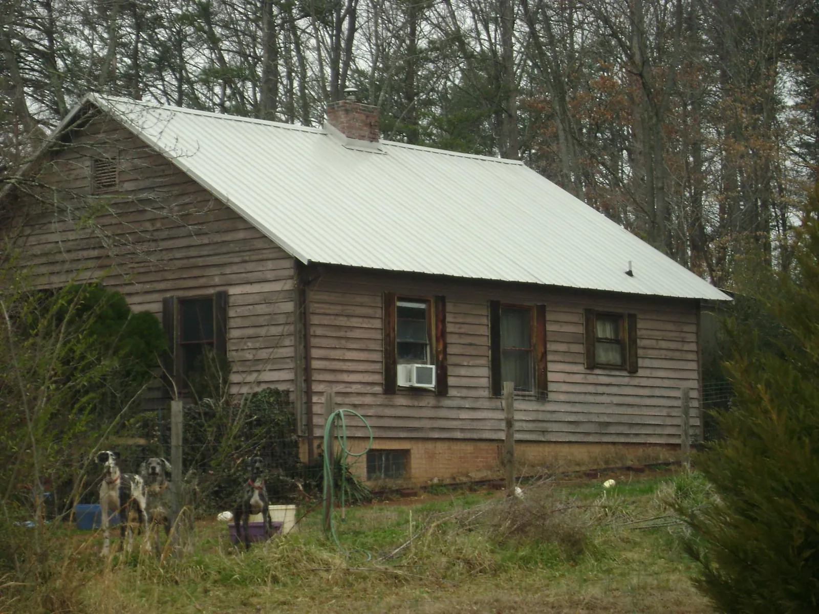 White metal roof on an old wood sided farmhouse, from a Asphalt Shingle Roof Repair job in Vina